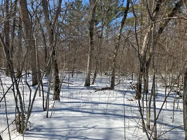 $169,900 | Lot 2 Sunrise Road, Harris, MN 55032