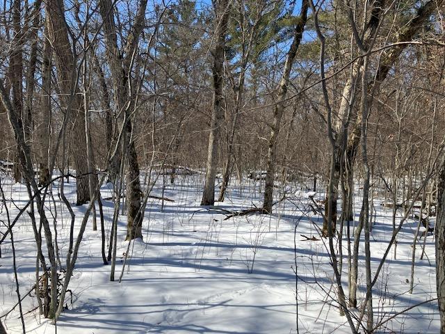 Lot 2 Sunrise Road Harris, MN 55032 - Photo 7 of 10