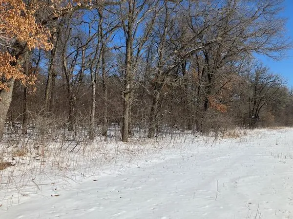 $169,900 | Lot 2 Sunrise Road, Harris, MN 55032
