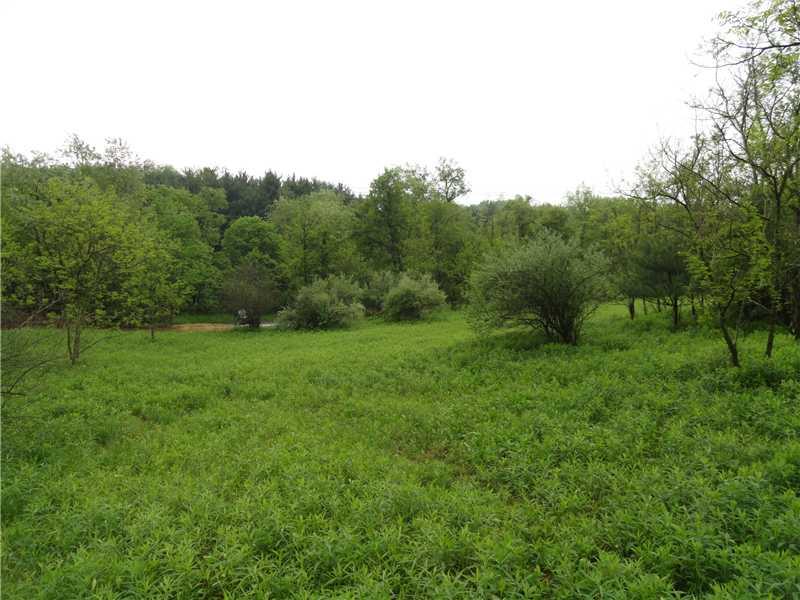 Ullom Road, Unit 4 Washington, PA 15301 - Photo 4 of 8 Land.