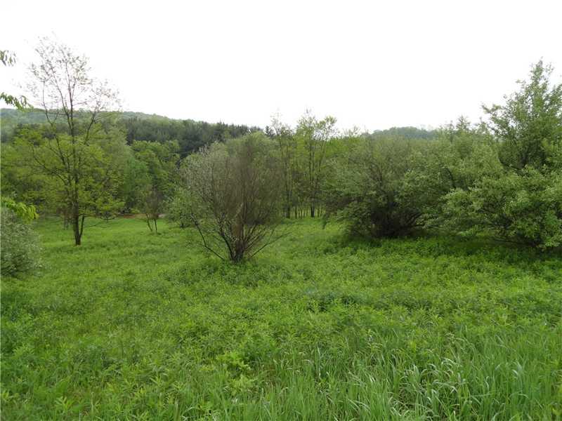 Ullom Road, Unit 4 Washington, PA 15301 - Photo 5 of 8 Land.