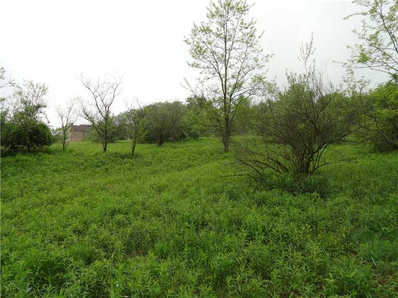 Ullom Road, Unit 4 Washington, PA 15301 - Photo 6 of 8 Land.