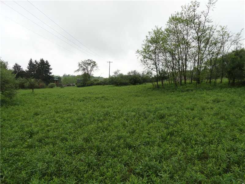 Ullom Road, Unit 4 Washington, PA 15301 - Photo 8 of 8 Land.