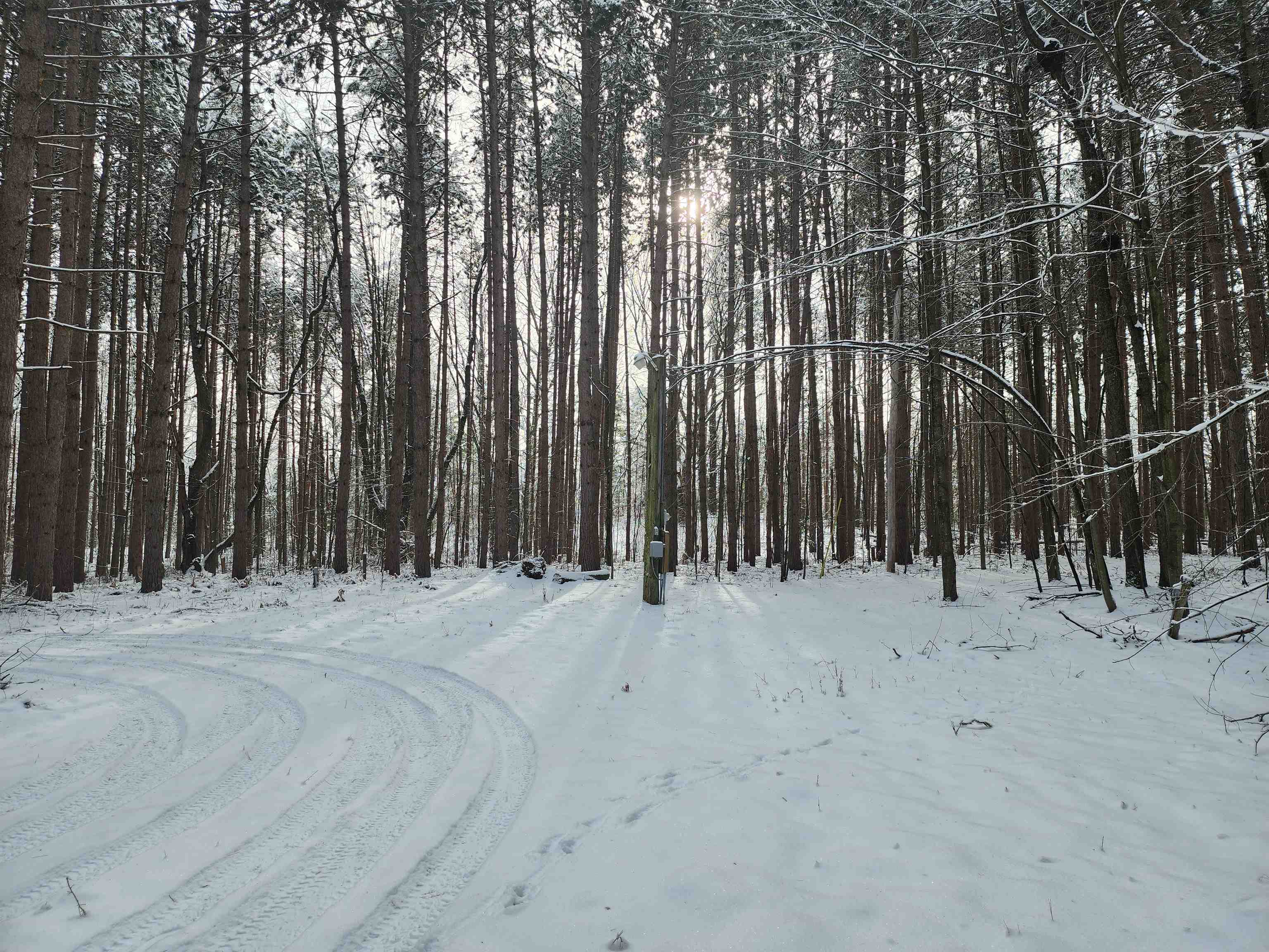 51 East Clarence Road Harrison, MI 48625 - Photo 15 of 16 Gallery Image 15
