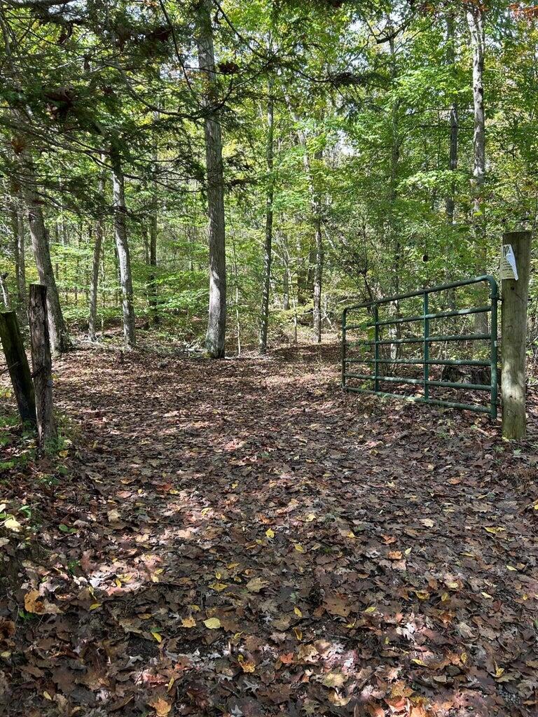Tbd Keister Road Ronceverte, WV 24970 - Photo 7 of 14 Gallery Image 7