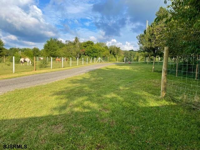 730 Parvin Mill Road Bridgeton, NJ 08302 - Photo 5 of 24