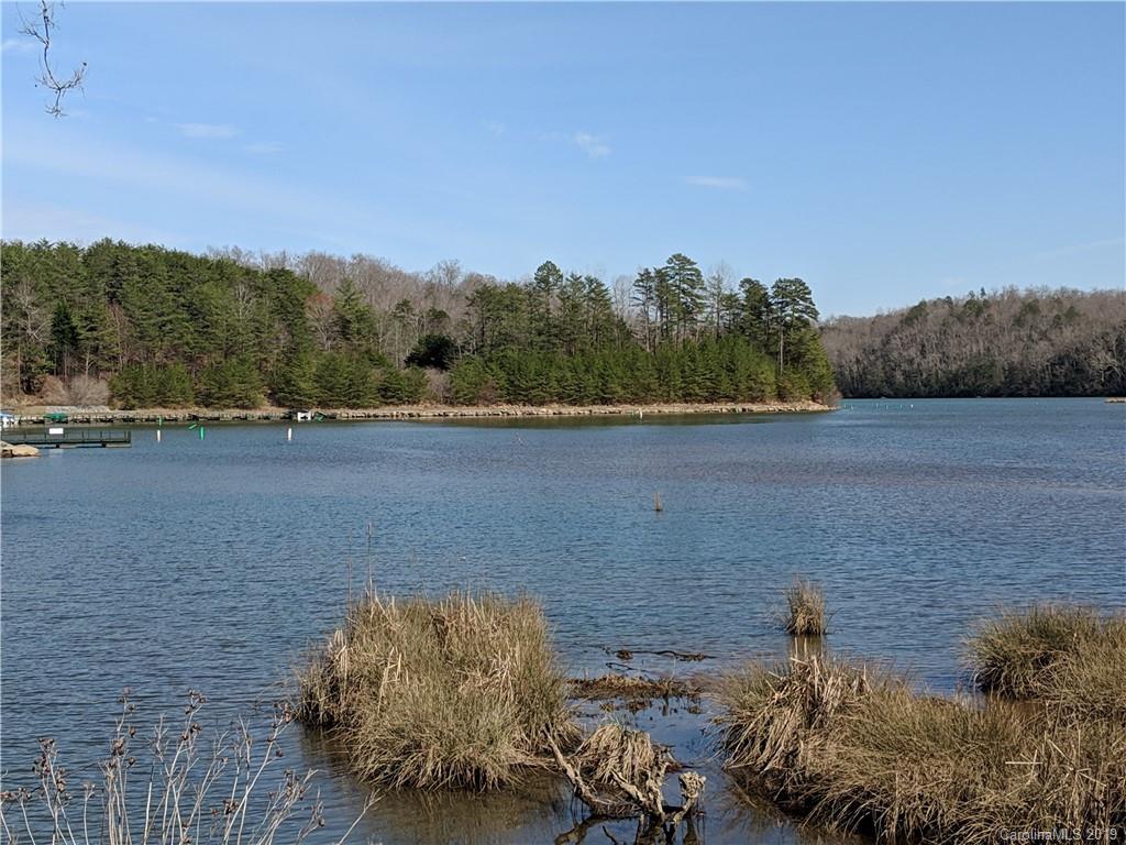 0 Pointe Ln Mill Spring Mill Spring, NC 28756 - Photo 2 of 18