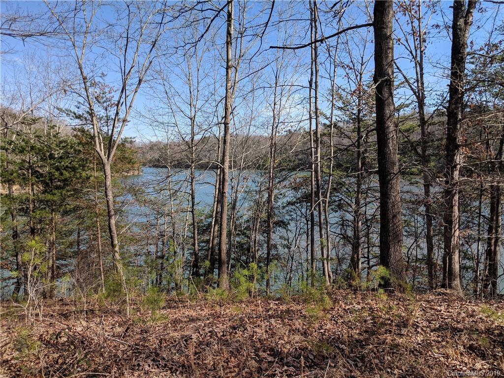 0 Pointe Ln Mill Spring Mill Spring, NC 28756 - Photo 11 of 18