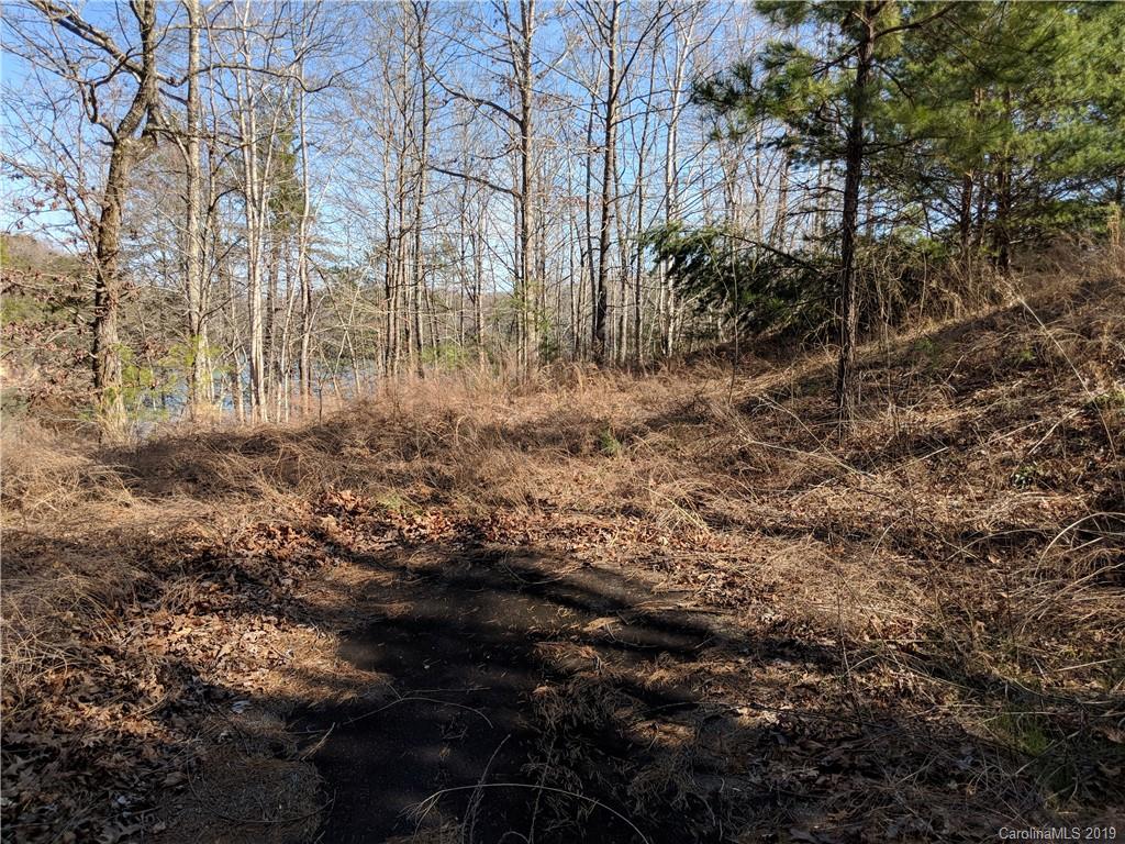 0 Pointe Ln Mill Spring Mill Spring, NC 28756 - Photo 14 of 18