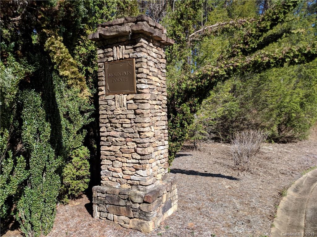 0 Pointe Ln Mill Spring Mill Spring, NC 28756 - Photo 4 of 18