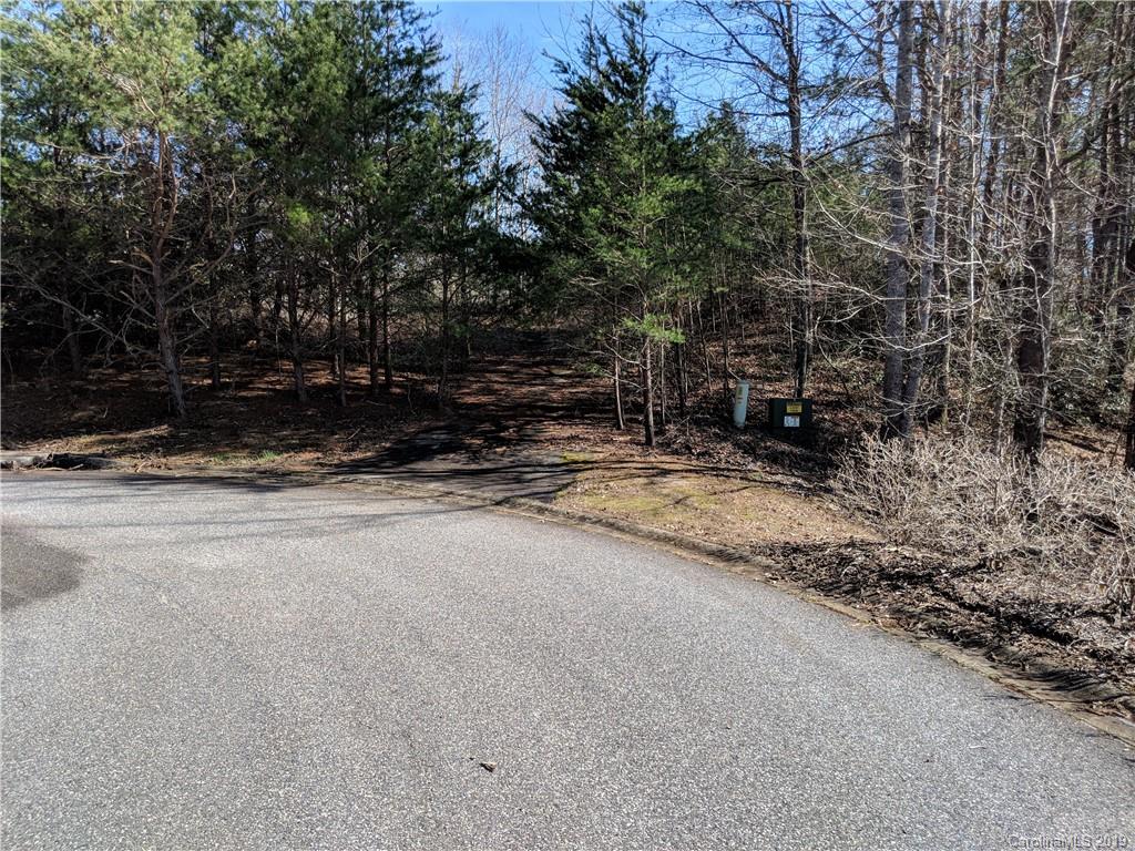 0 Pointe Ln Mill Spring Mill Spring, NC 28756 - Photo 5 of 18