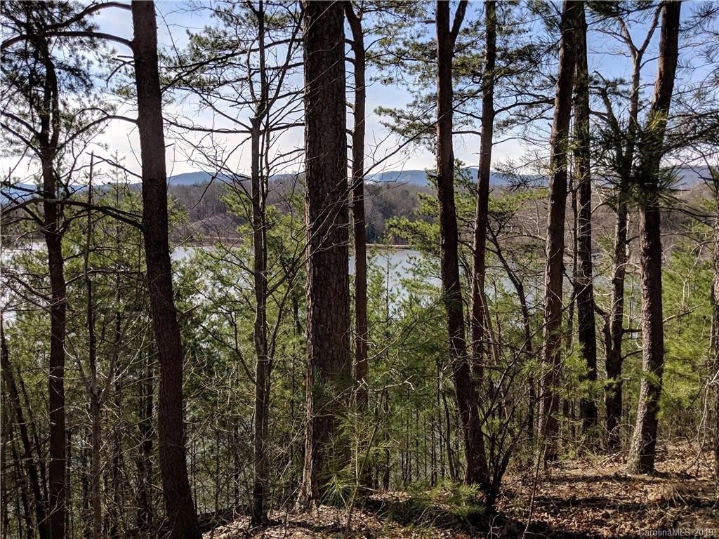 0 Pointe Ln Mill Spring Mill Spring, NC 28756 - Photo 7 of 18