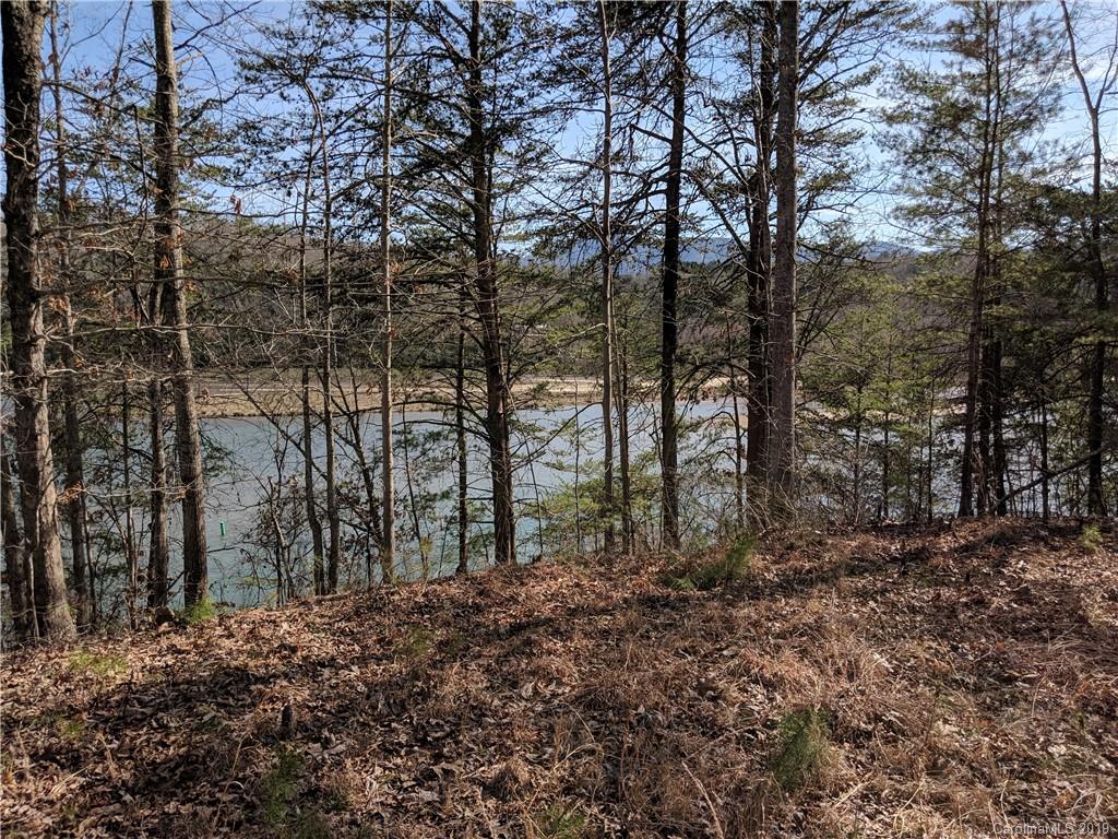 0 Pointe Ln Mill Spring Mill Spring, NC 28756 - Photo 10 of 18