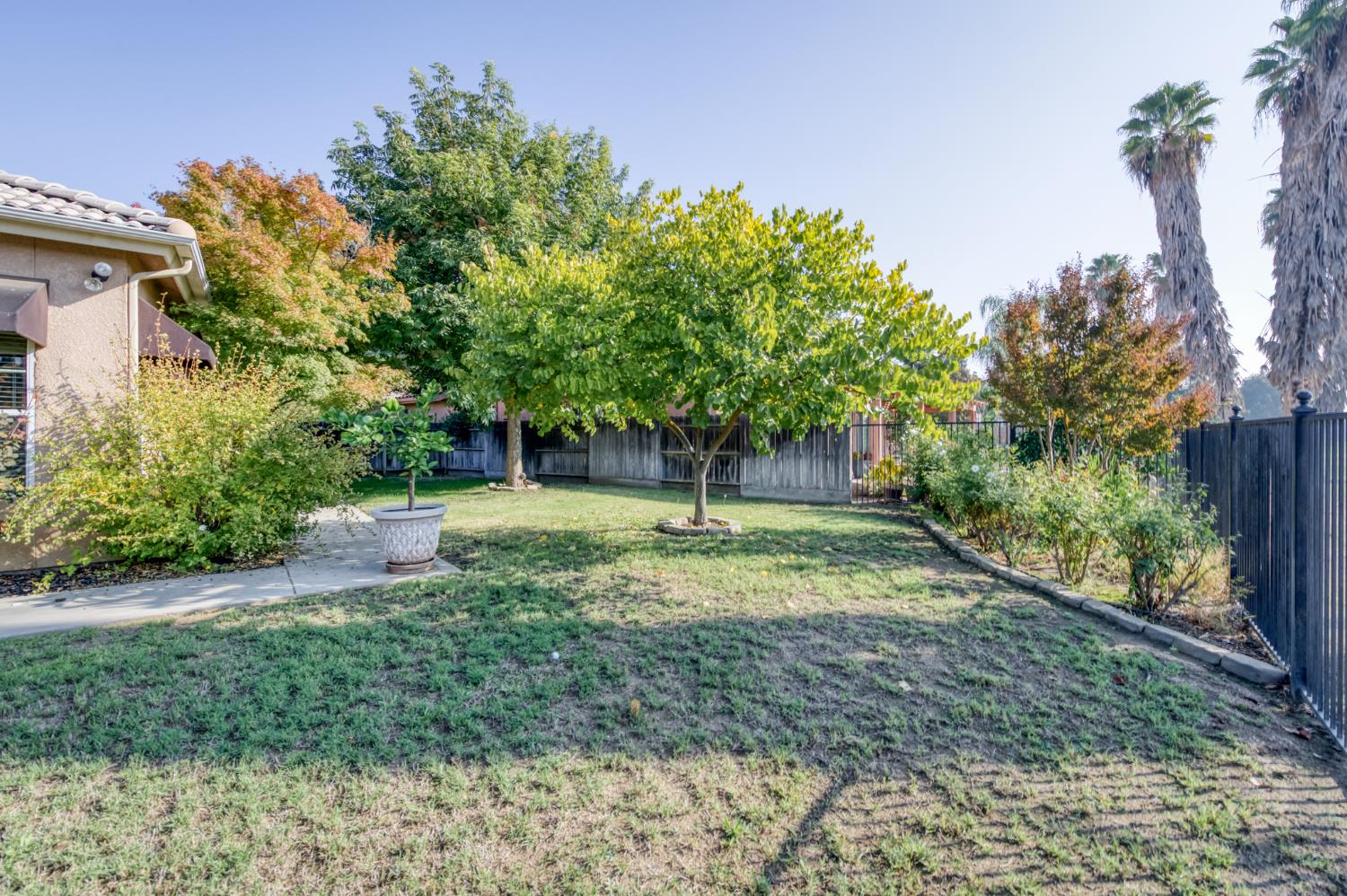 7360 Edgewater Street Chowchilla, CA 93610 - Photo 40 of 44 a view of a yard with plants and trees