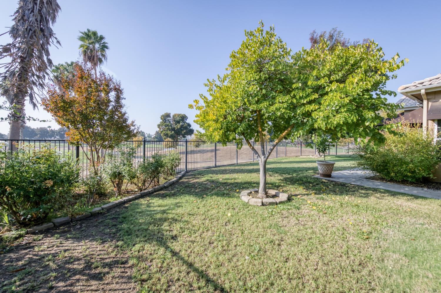 7360 Edgewater Street Chowchilla, CA 93610 - Photo 44 of 44 a view of a tree in the middle of a yard