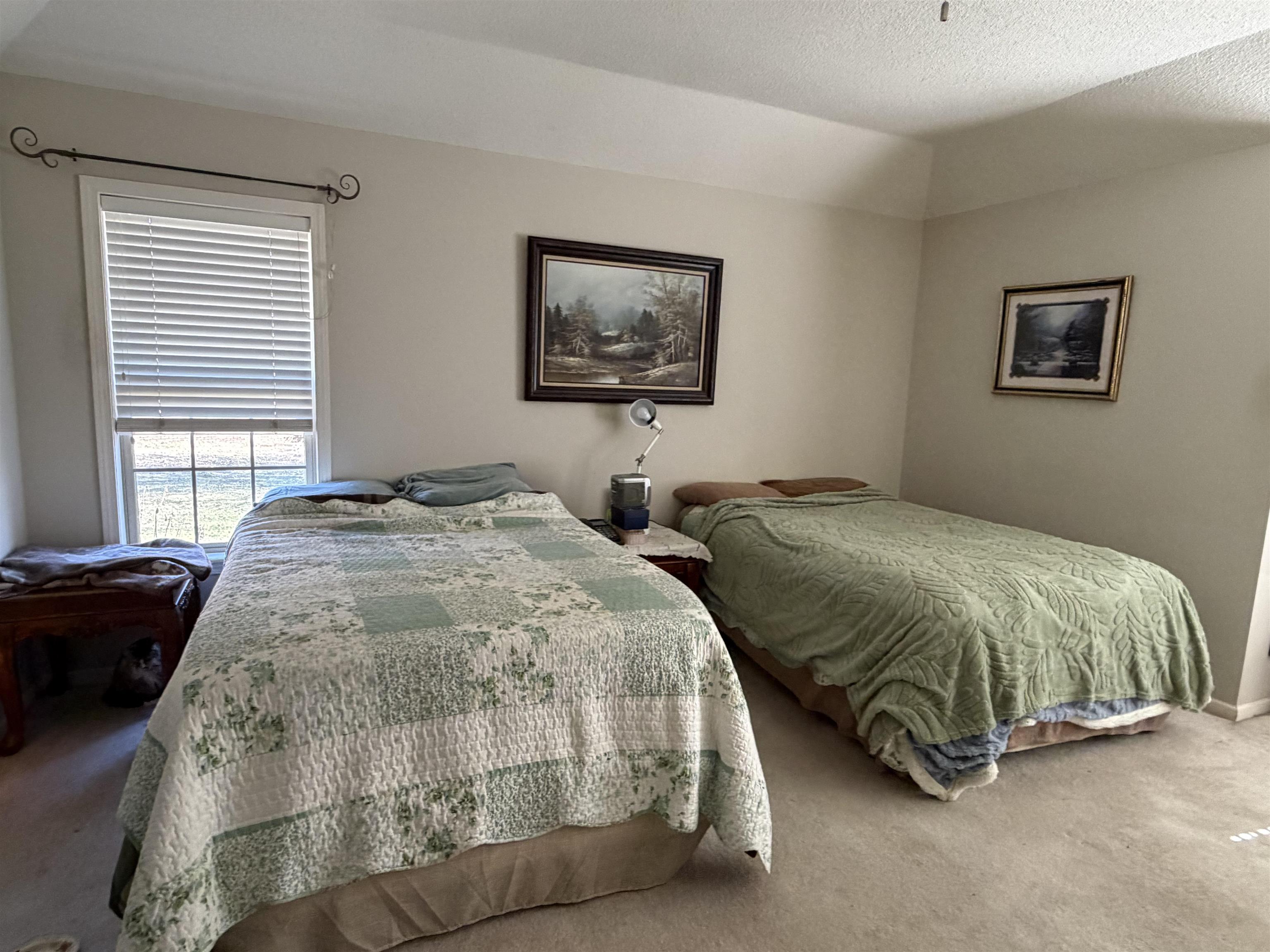 95 Lab Drive Buchanan, TN 38222 - Photo 15 of 19 Bedroom with carpet