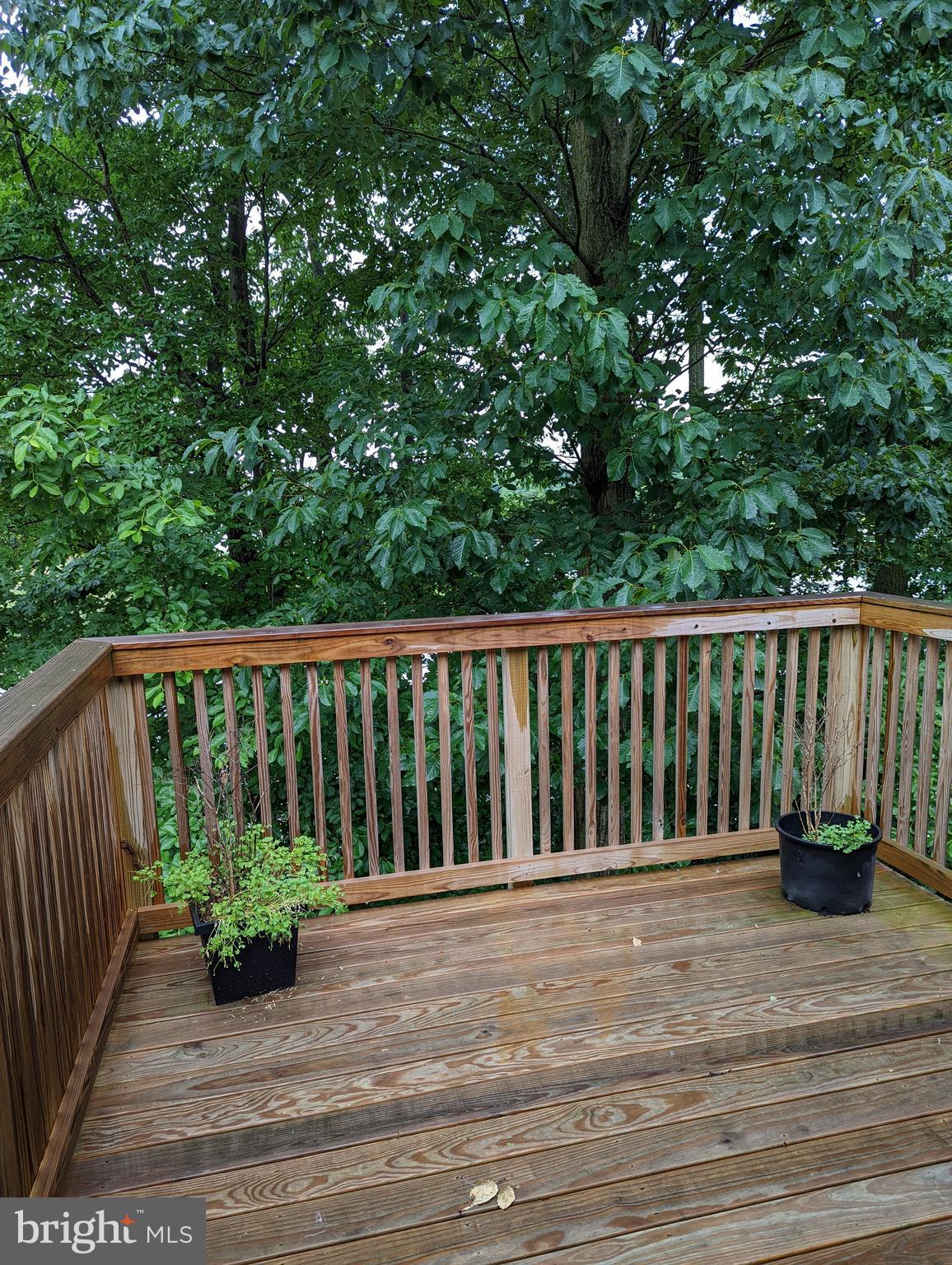 1941 Windswept Drive Dover, DE 19901 - Photo 11 of 34 a view of a deck