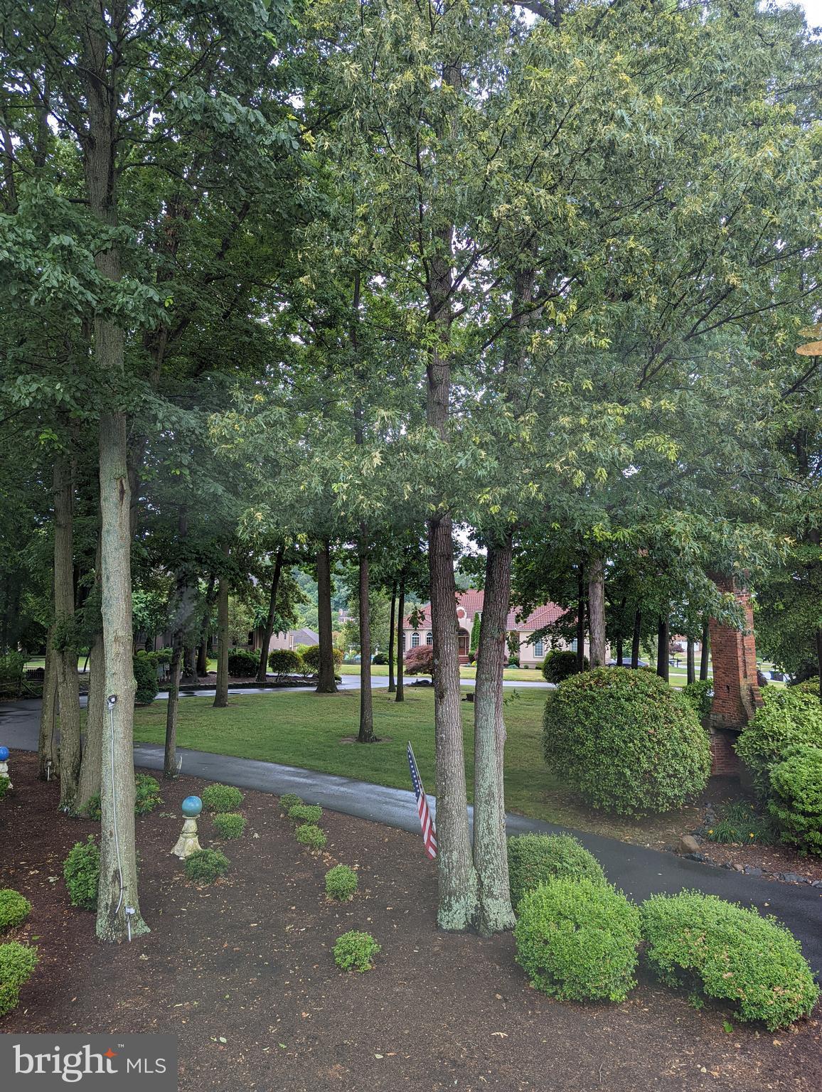 1941 Windswept Drive Dover, DE 19901 - Photo 4 of 34 a view of a park with tree s