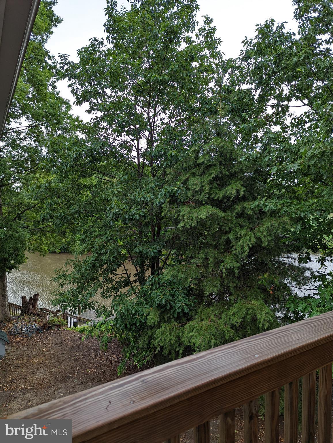 1941 Windswept Drive Dover, DE 19901 - Photo 9 of 34 a view of a forest from a window