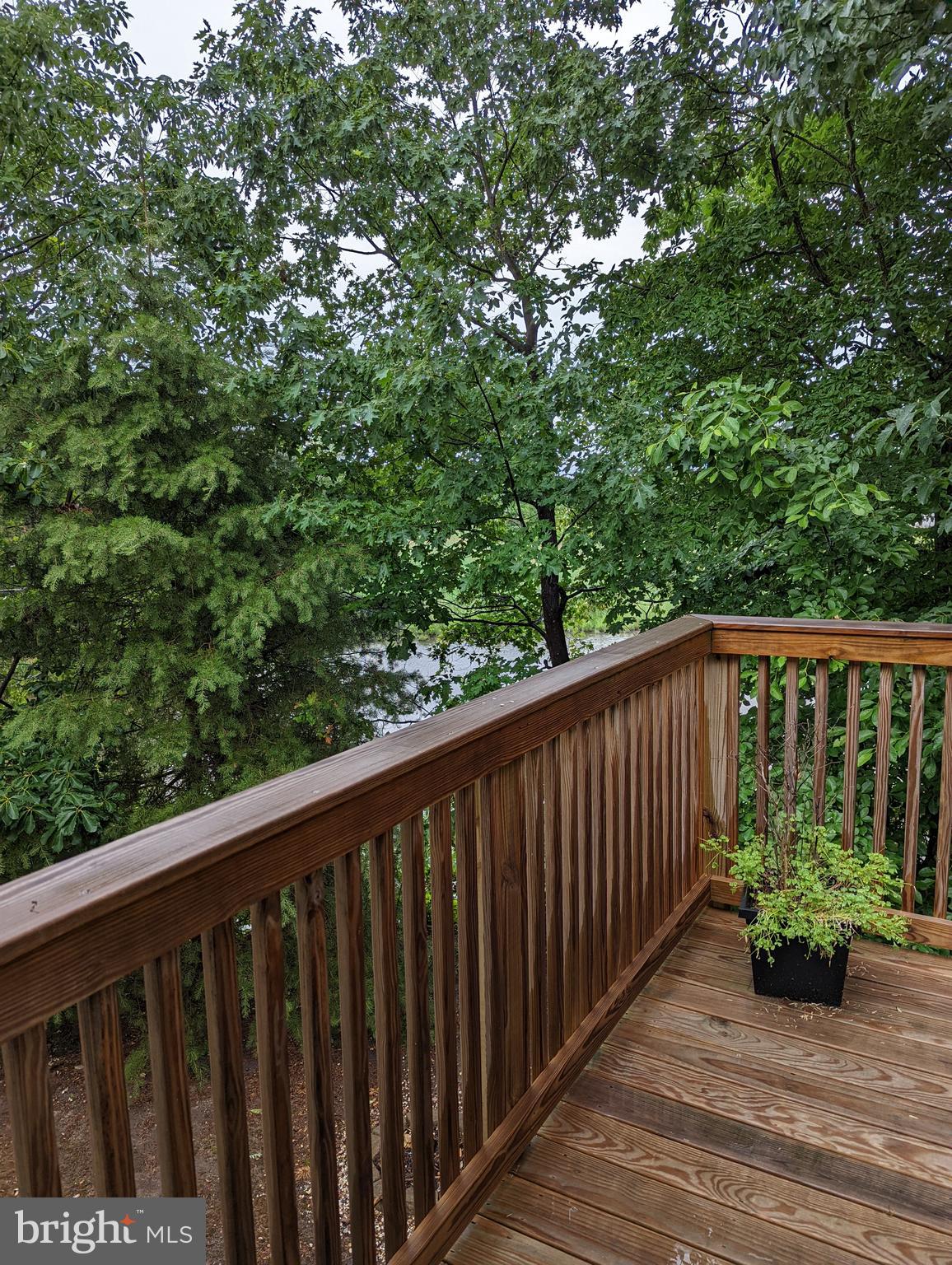 1941 Windswept Drive Dover, DE 19901 - Photo 10 of 34 a balcony with wooden floor and trees in the background