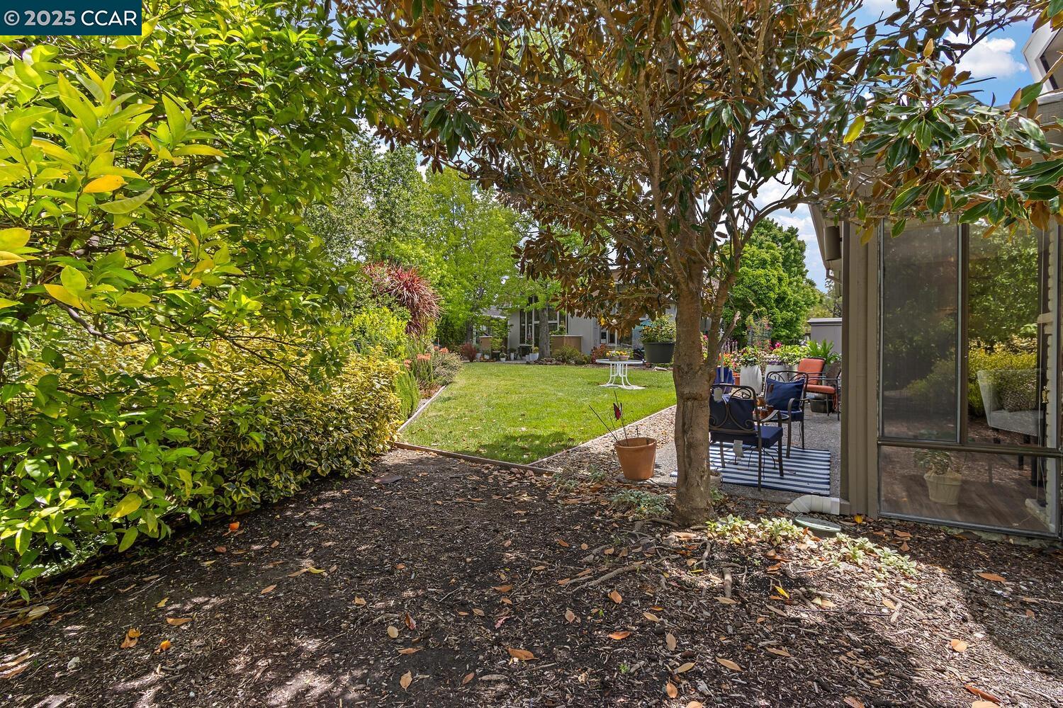 1244 Singingwood Court, Unit 1 Walnut Creek, CA 94595 - Photo 8 of 46 a view of a park with swings and a tree