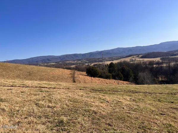 $675,000 | Tbd John Mathews Road, Limestone, TN 37681