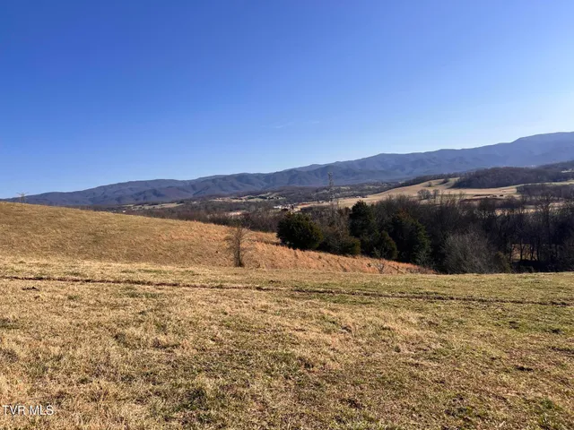 $675,000 | Tbd John Mathews Road, Limestone, TN 37681