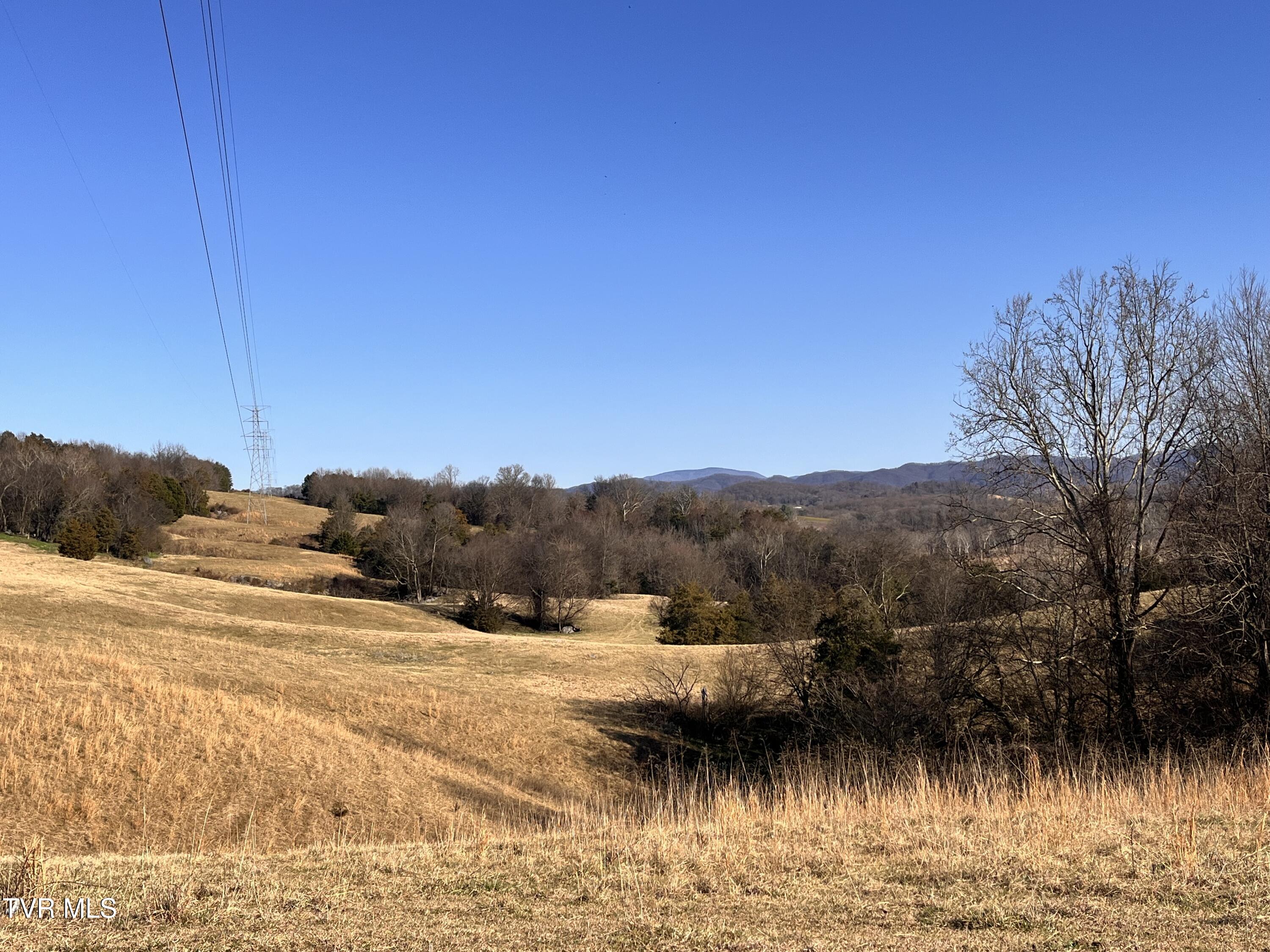 Tbd John Mathews Road Limestone, TN 37681 - Photo 13 of 13 IMG_0763