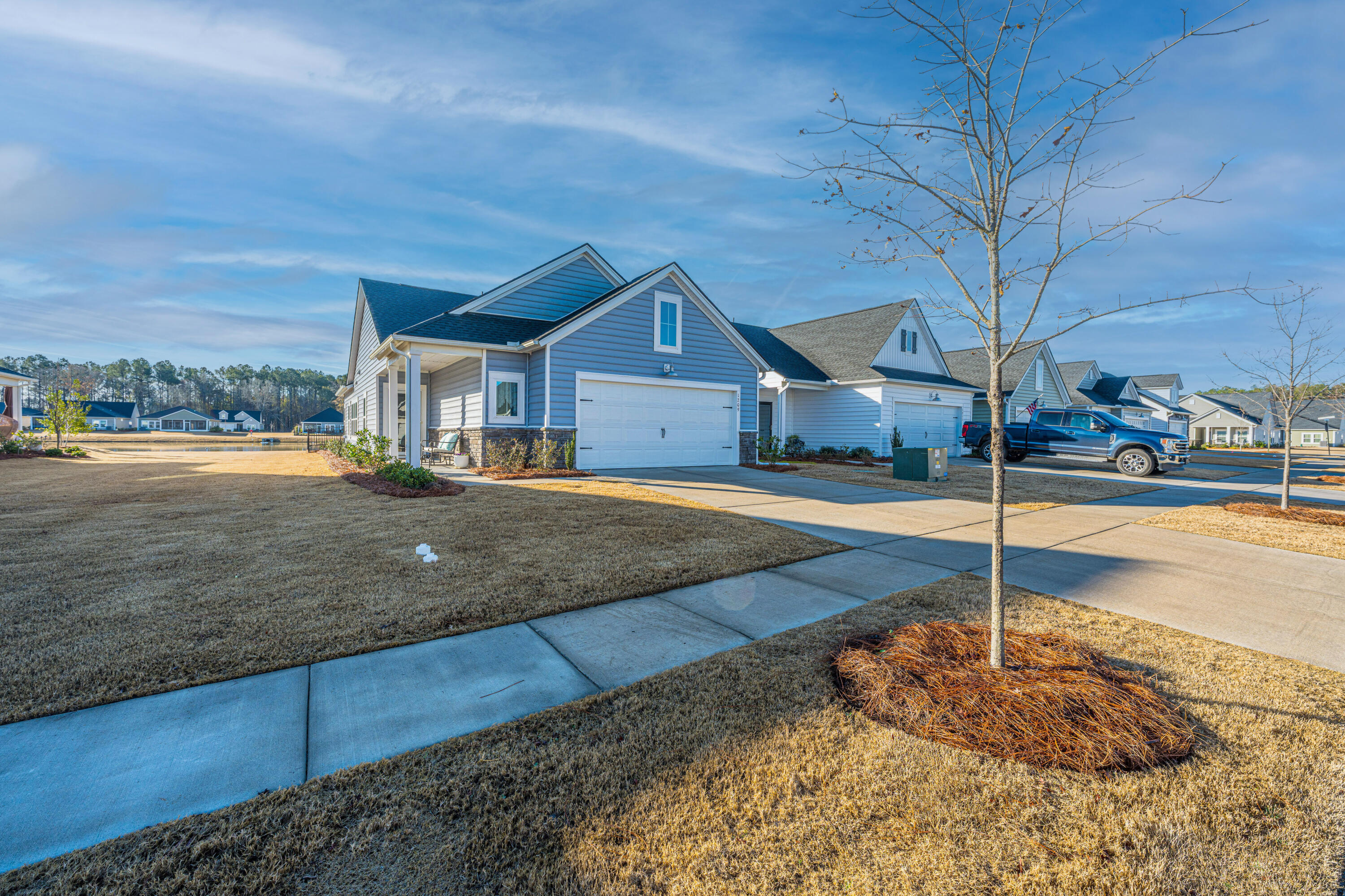 1209 Black Skimmer Street Ridgeville, SC 29472 - Photo 44 of 44 1209BlackSkimmerSt002