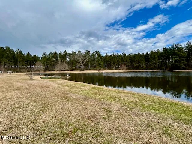 $699,900 | 13835 Highway 98, Smithdale, MS 39664