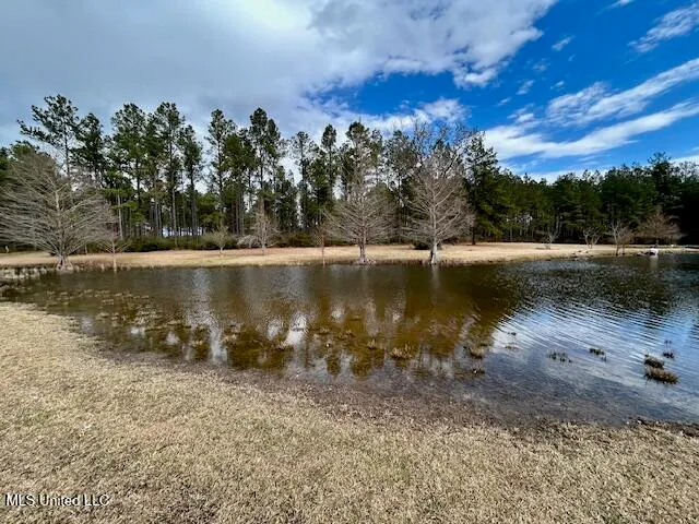 $699,900 | 13835 Highway 98, Smithdale, MS 39664