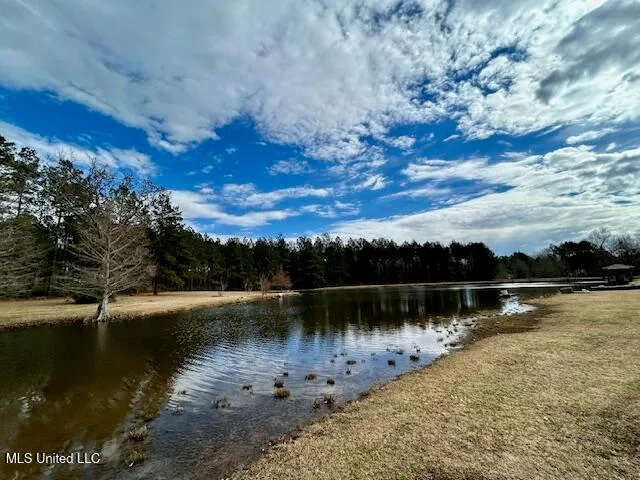 $699,900 | 13835 Highway 98, Smithdale, MS 39664