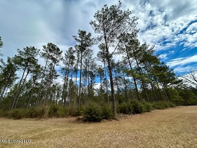 $699,900 | 13835 Highway 98, Smithdale, MS 39664