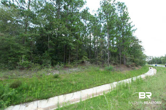 0 Timber Ridge Drive Chunchula, AL 36521 - Photo 3 of 5