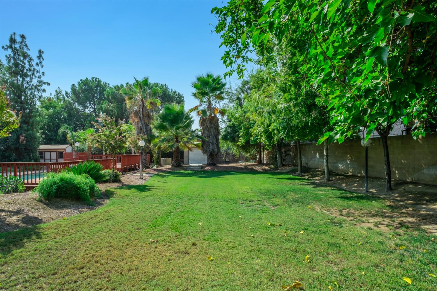 3140 North Temperance Avenue Clovis, CA 93611 - Photo 32 of 36 a view of a backyard with a garden