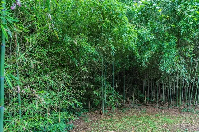 a view of outdoor space and yard