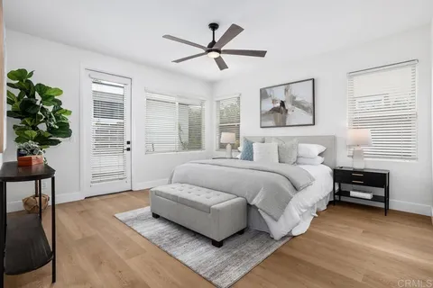 a bedroom with a large bed a potted plant and a window