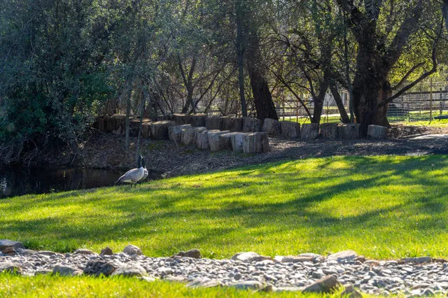 $849,900 | 20114 Vernita Drive, Redding, CA 96003