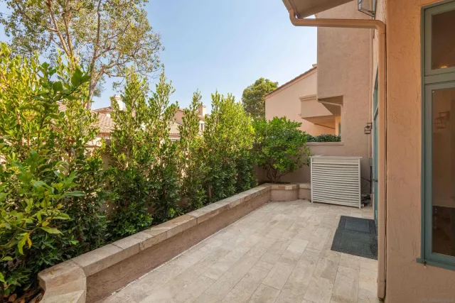 a view of a small yard