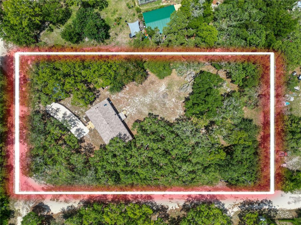 13043 Gennaro Road Hudson, FL 34669 - Photo 46 of 55