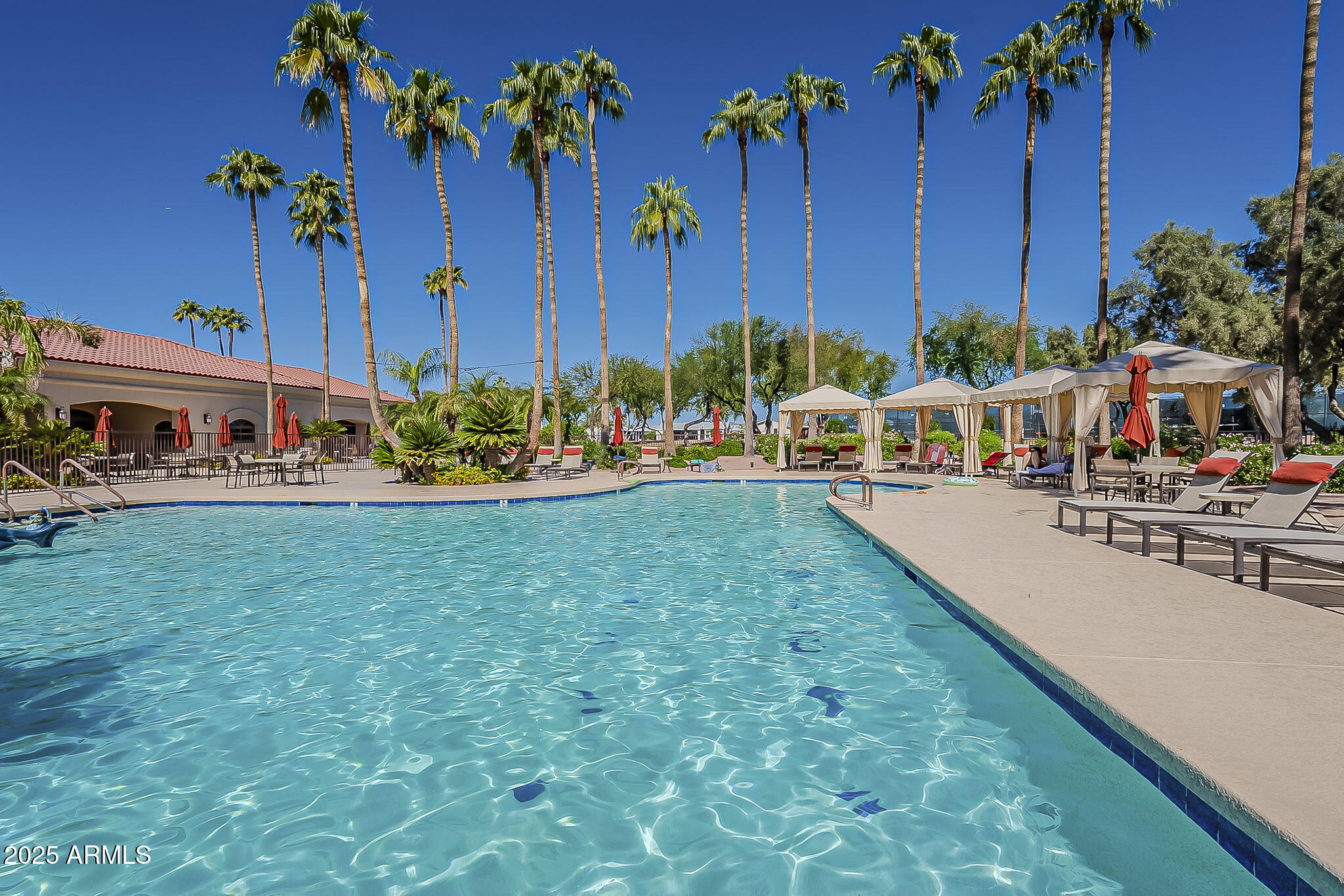 215 North Power Road, Unit 107 Mesa, AZ 85205 - Photo 7 of 49 an outdoor space with palm trees