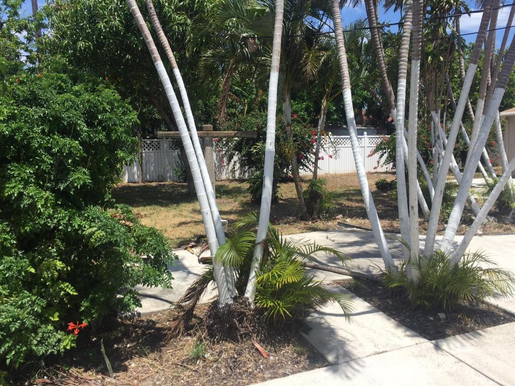 340 West 28th Street Riviera Beach, FL 33404 - Photo 4 of 12 20160425152546821837000000-o