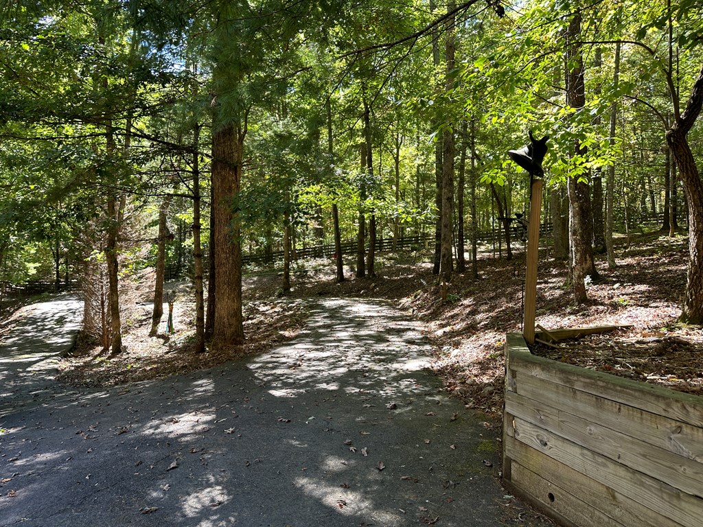 328 Sharp Top Circle Blairsville, GA 30512 - Photo 14 of 41