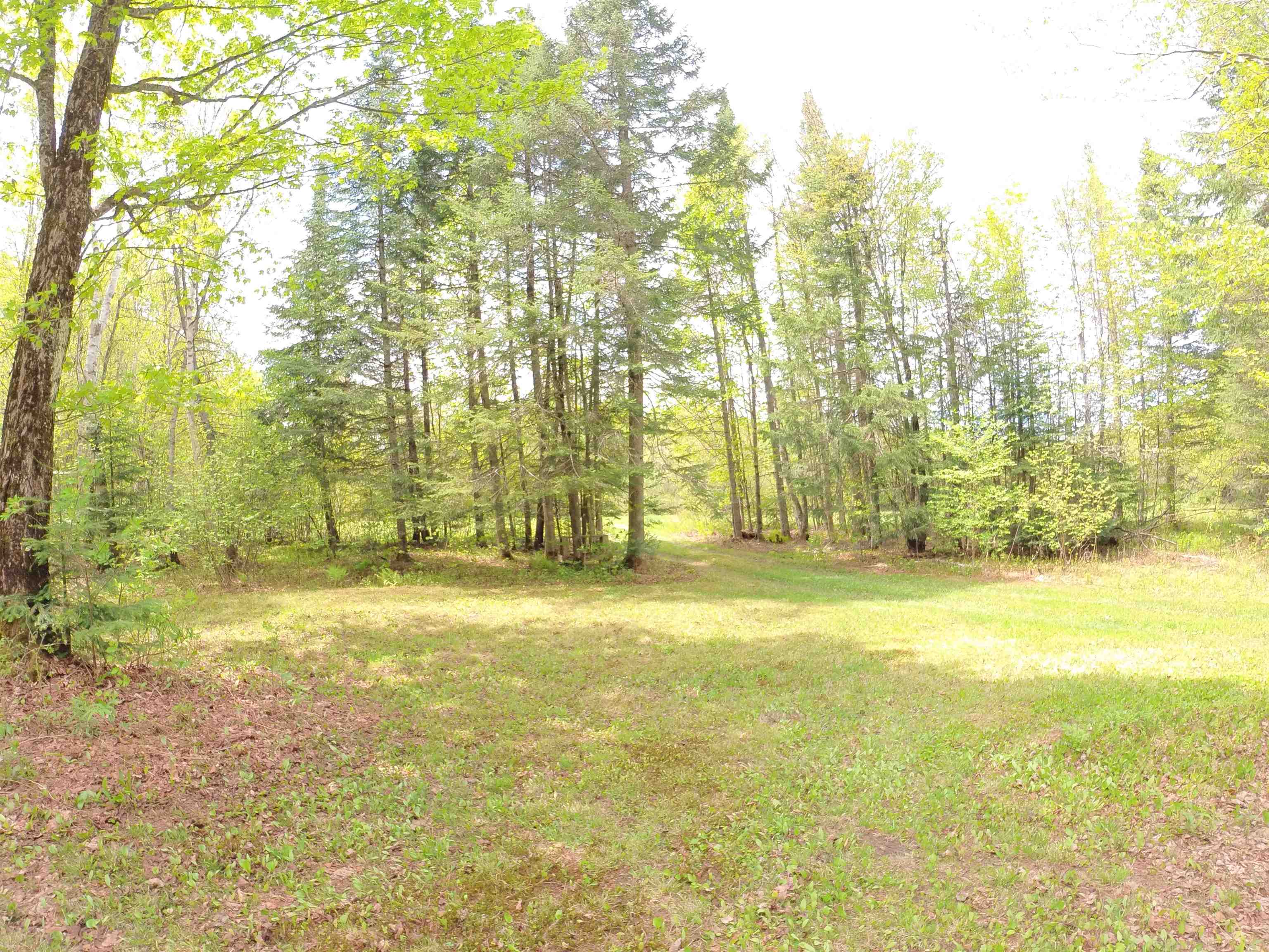 763 Hunting Camp Road Holland, VT 05830 - Photo 19 of 36