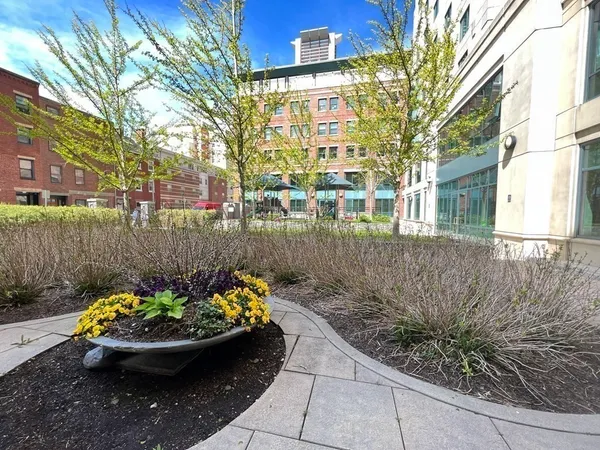 a view of a backyard with plants and a fountain