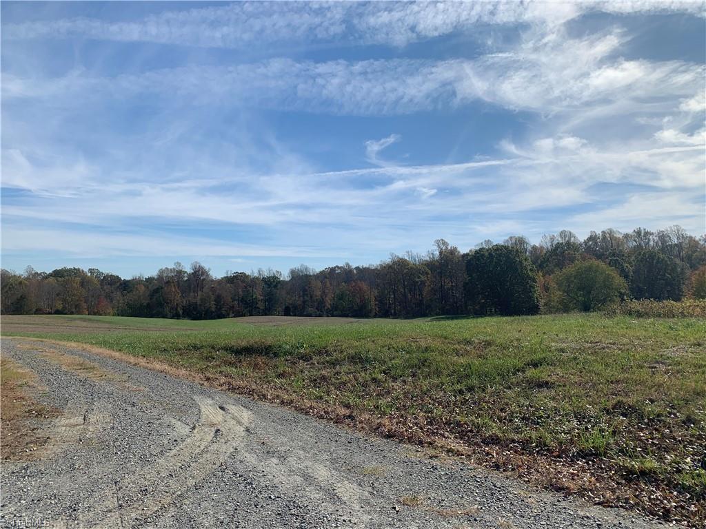 181 St Mariah Road Reidsville, NC 27320 - Photo 25 of 32 Gallery Image 25
