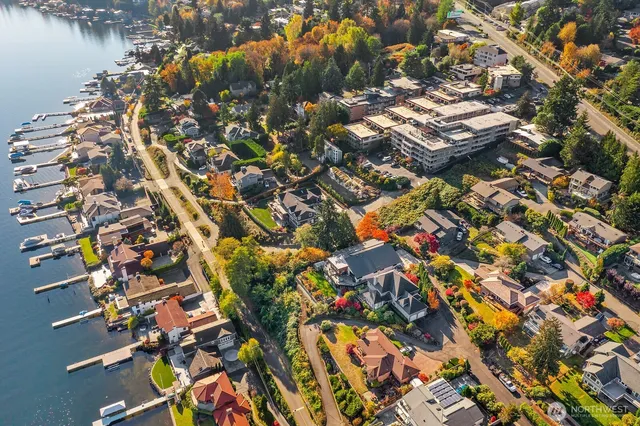an aerial view of residential houses with outdoor space and lake view