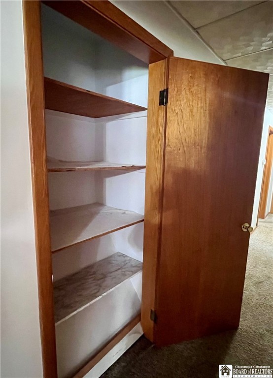 3194 Cranberry Road Allegany, NY 14760 - Photo 24 of 50 Hallway closet for storage