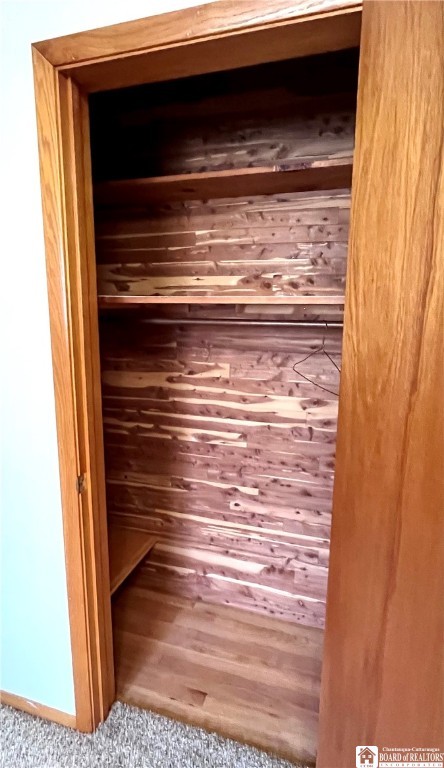 3194 Cranberry Road Allegany, NY 14760 - Photo 46 of 50 cedar closet