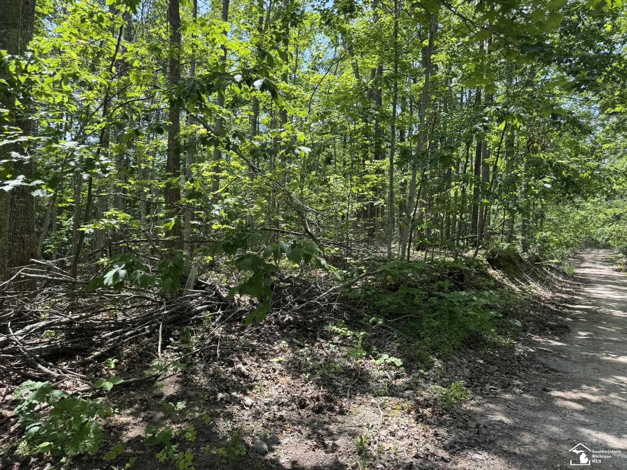 0 Hayes Tower Road Gaylord, MI 49735 - Photo 5 of 14